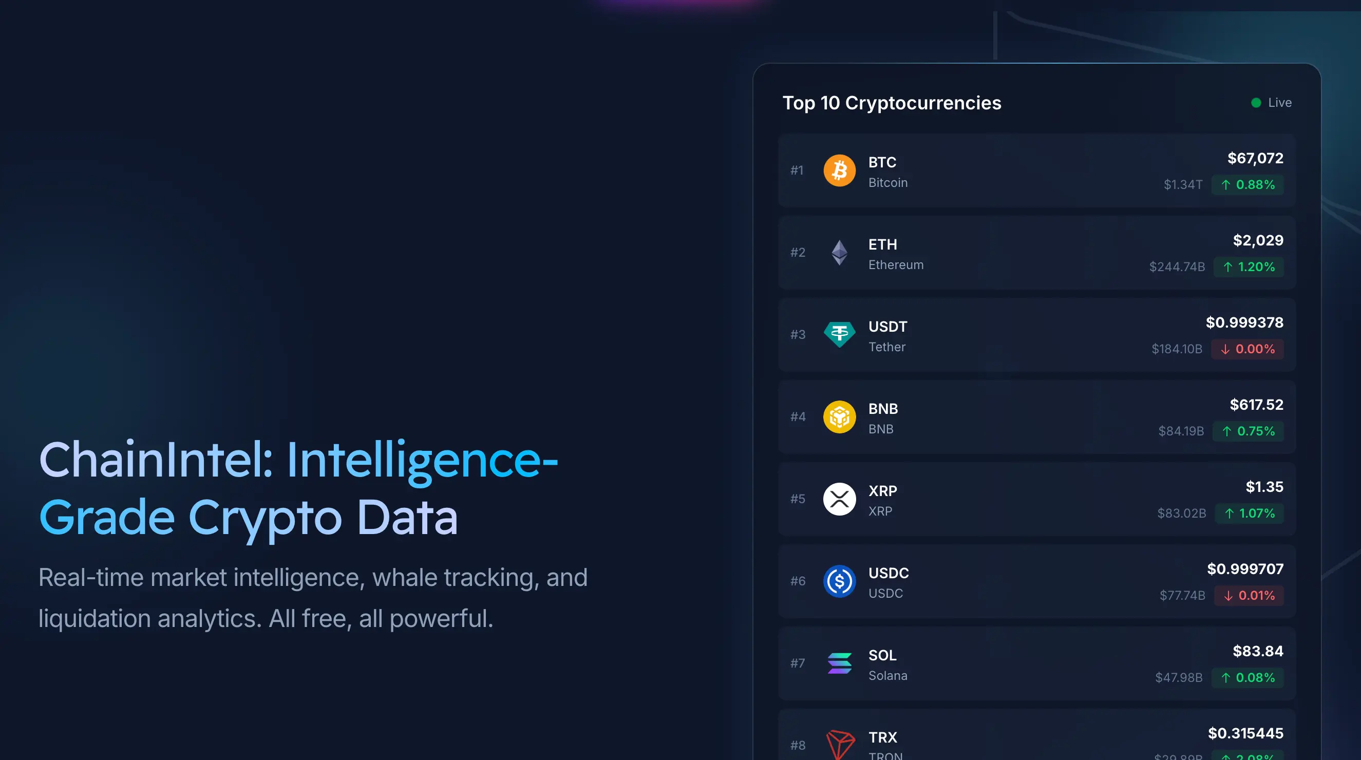 ChainIntel.io on-chain intelligence platform